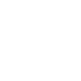 NMI PayFacto Integrated Solution